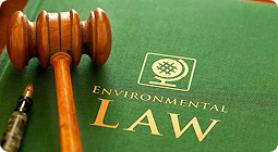 Environmental fines